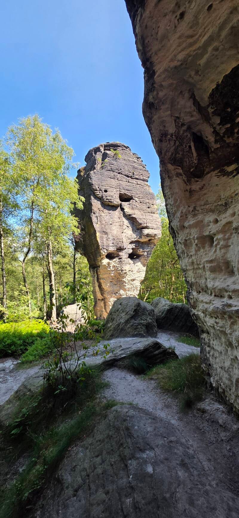 112_tis-tisk-st-ny-rotsen-standard.jpg