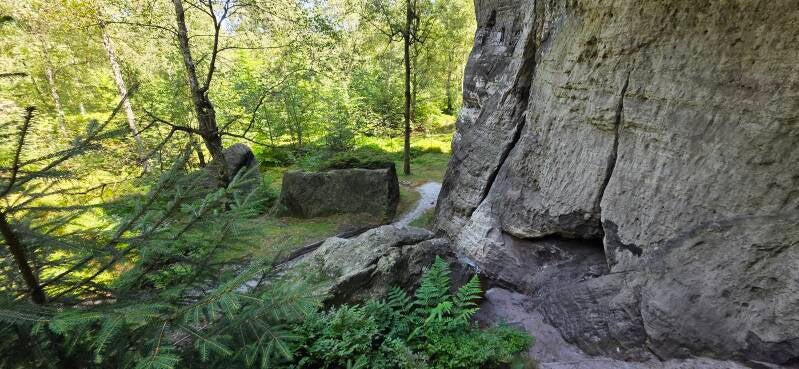 117_tis-tisk-st-ny-rotsen-standard.jpg