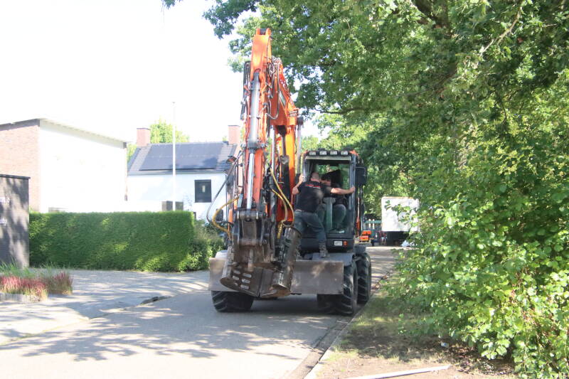 1535-standard.jpg