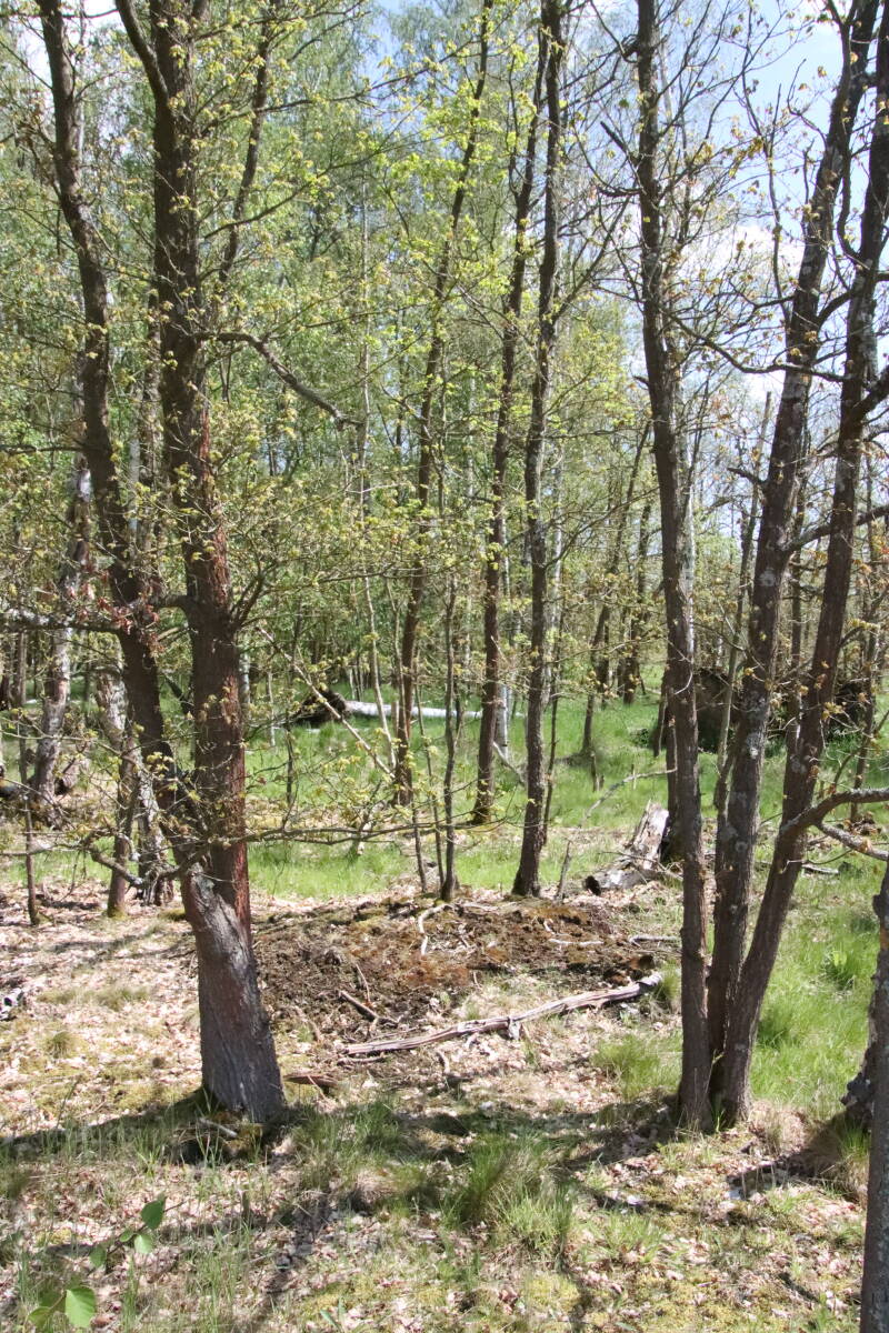 rezervace-soos-15-standard.jpg
