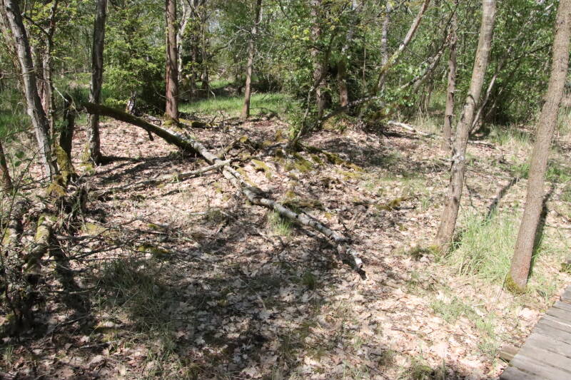 rezervace-soos-34-standard.jpg