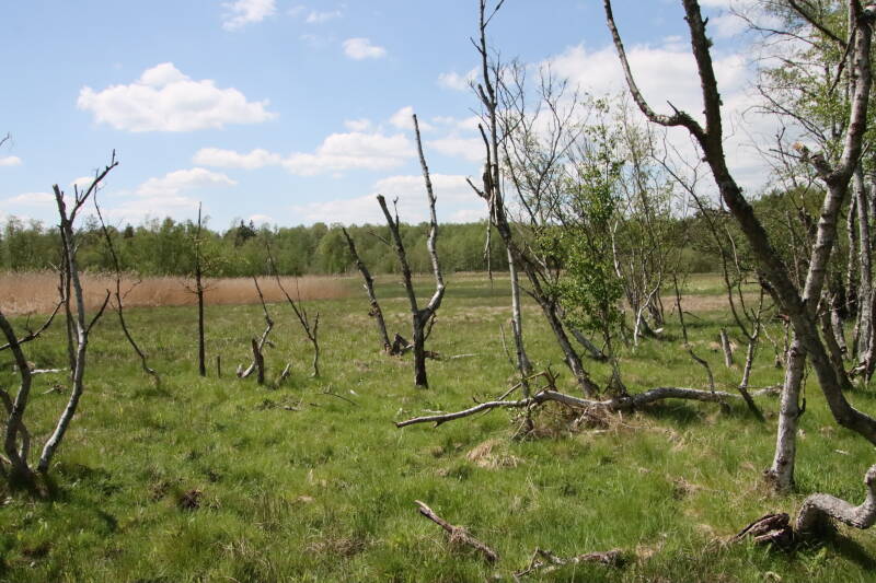 rezervace-soos-56-standard.jpg