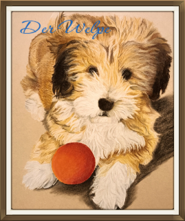 Pastellzeichnung eines Hundewelpen