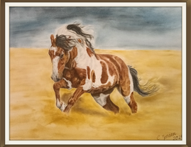 Bunstiftzeichnung Pferd