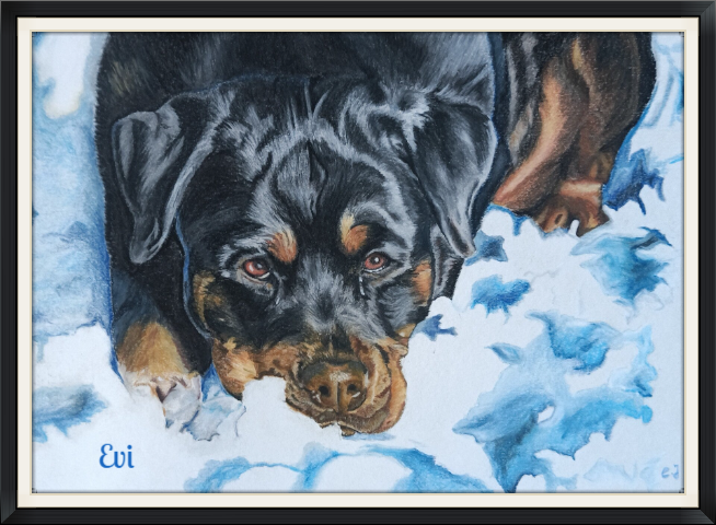 Pastellzeichnung einer Rottweilerhündin