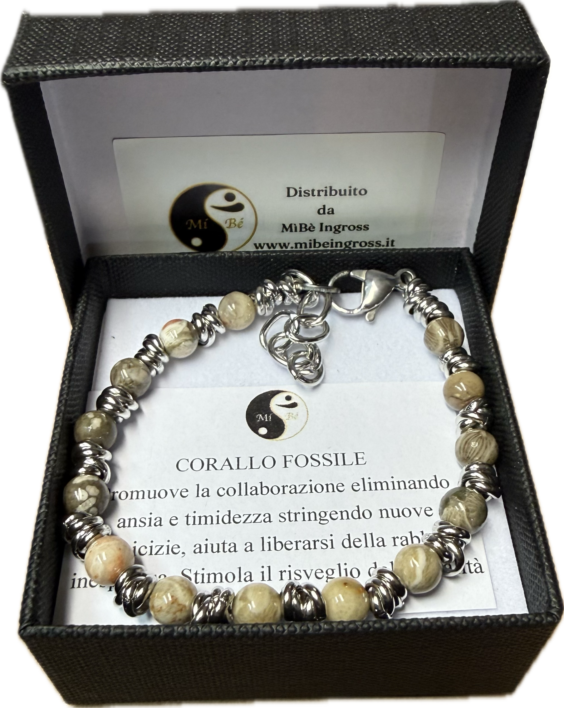 Corallo Fossile con Nodini