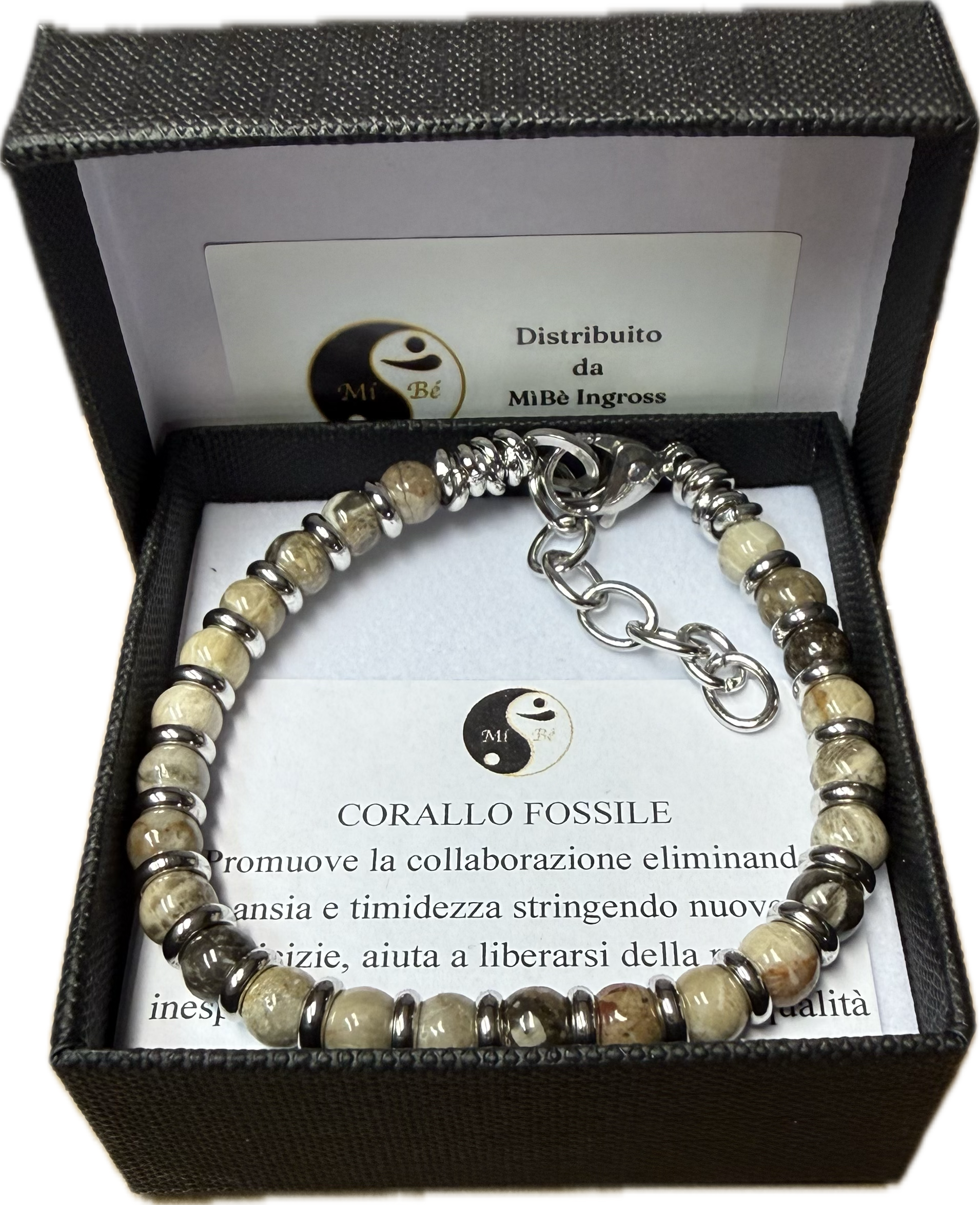 Corallo Fossile con Rondella