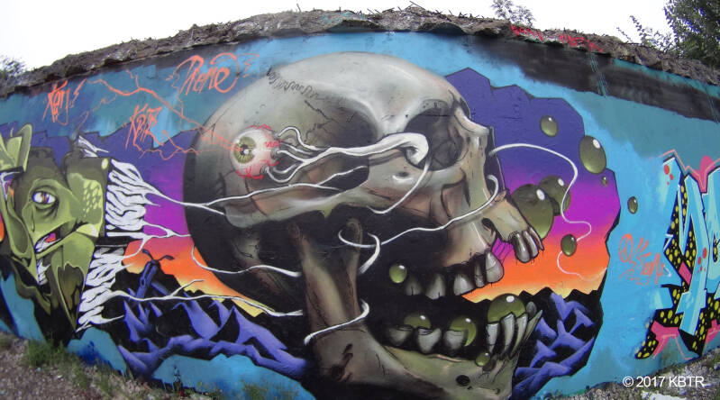 Skull in profile by KBTR