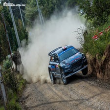 _i0a4449-standard-mc34zf.jpg