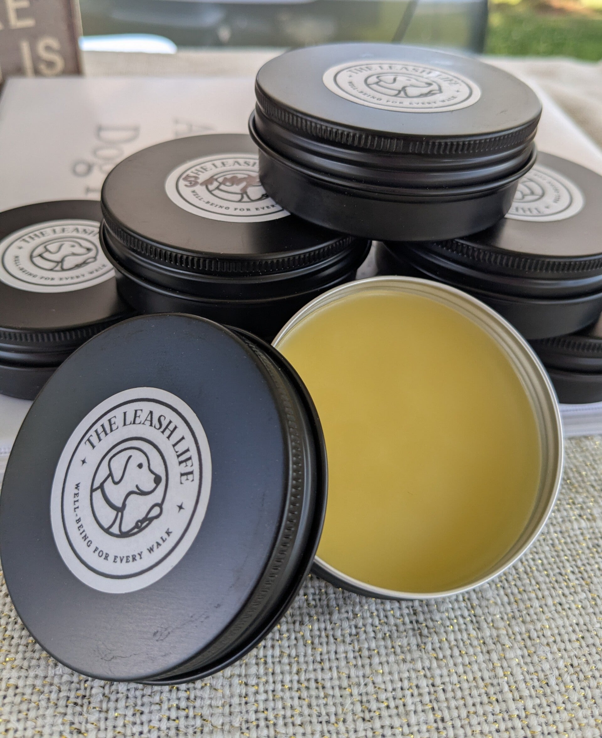 Skin Restore Salve