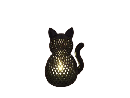 lichtgevende kat