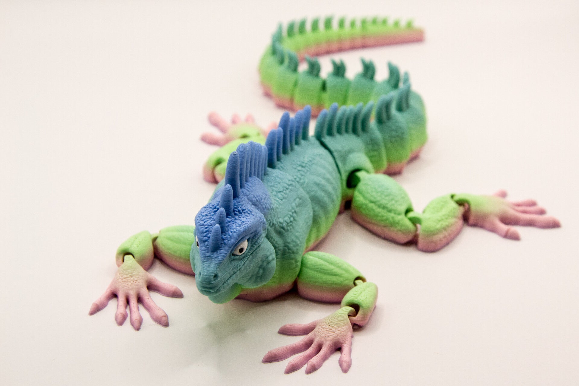 3D Rainbow leguaan 35CM