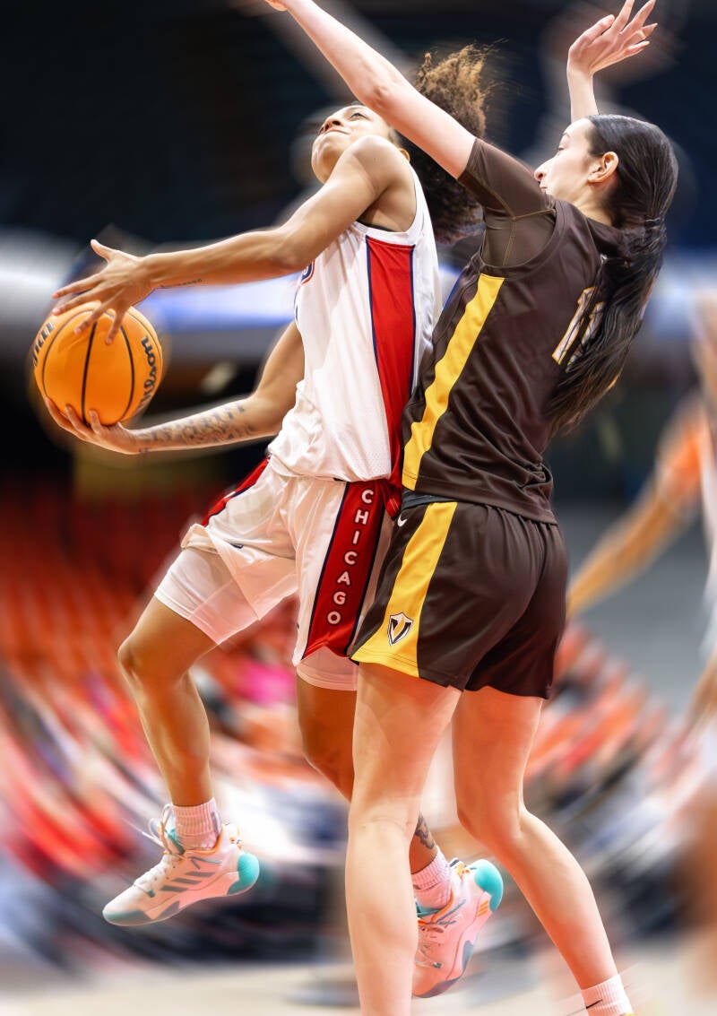 grphic-standard-3431ol.jpg