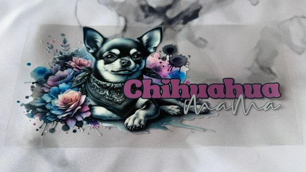 Chihuahua