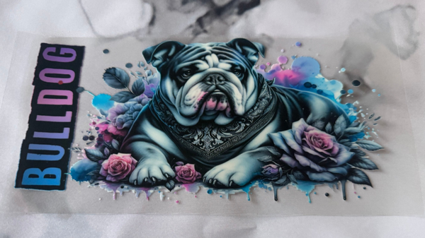 Bulldog