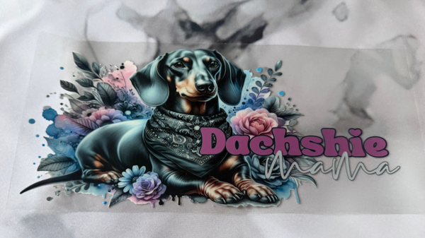 Dashie