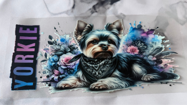 Yorkie