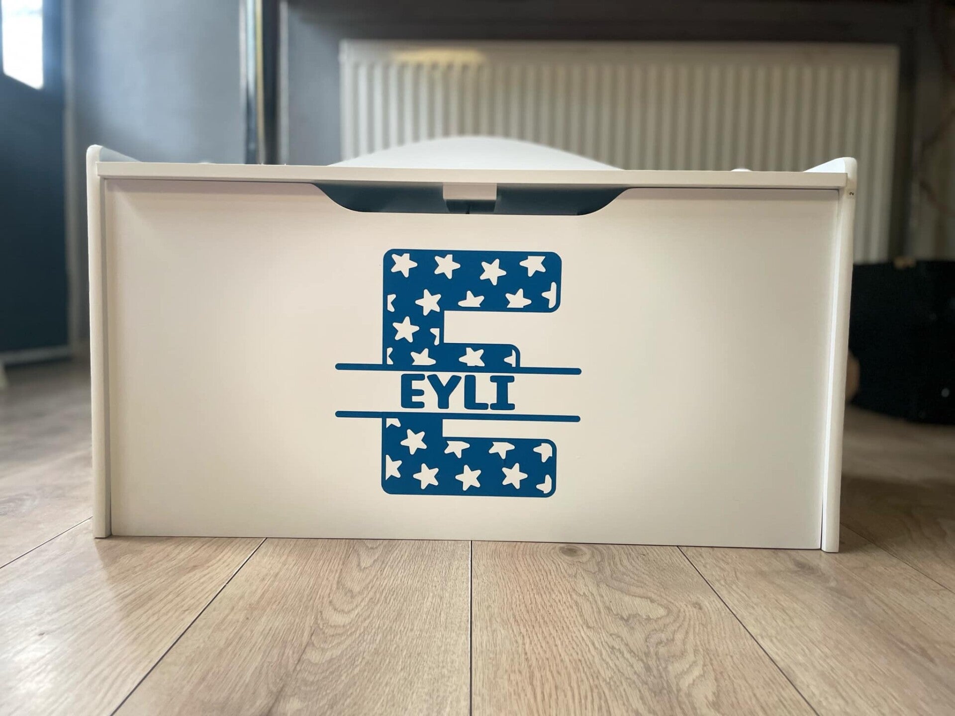 Create special Space with a Personalised Toy Box