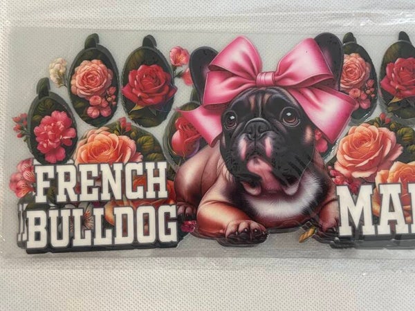 French bulldog
