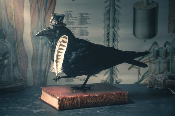 A Taxidermy Steampunk Carrion Crow.