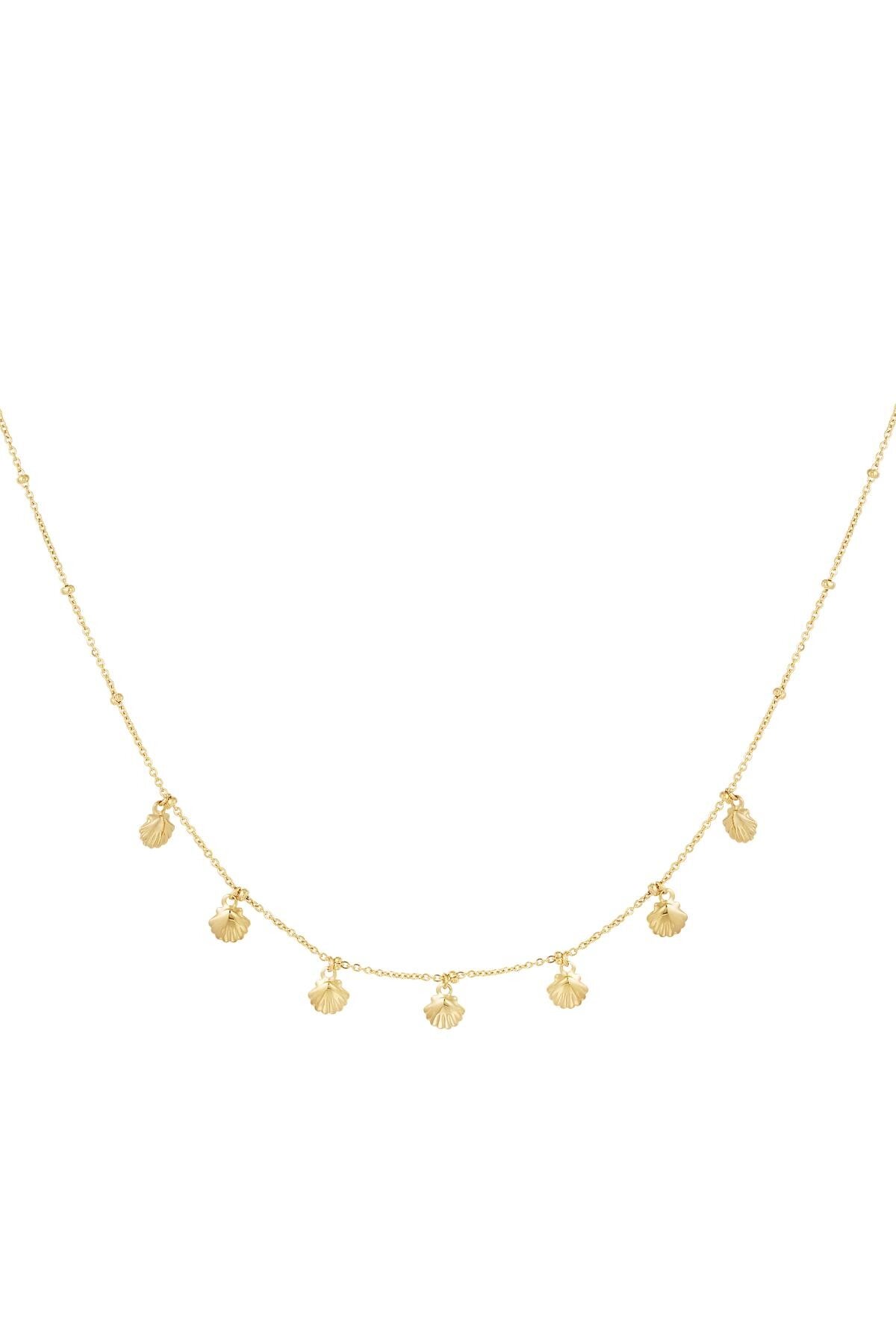 Ketting met gouden schelpjes