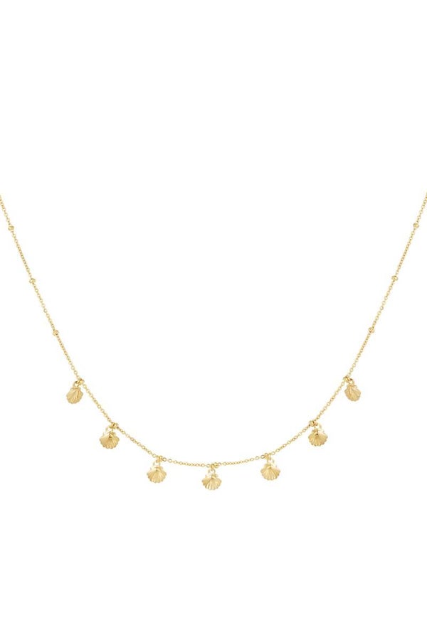 Ketting met gouden schelpjes