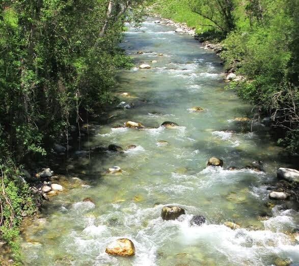 Rio Noguera Ribargozana