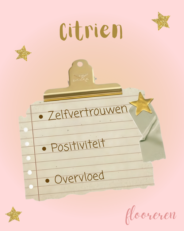 Citrien | Armband