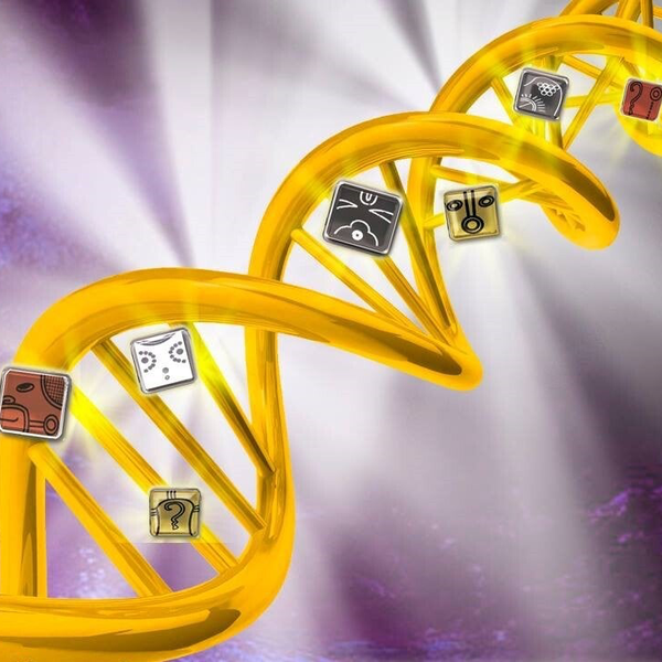 Workshop: Mayaweisheit der Regeneration - Aminoglyphen-Prozess