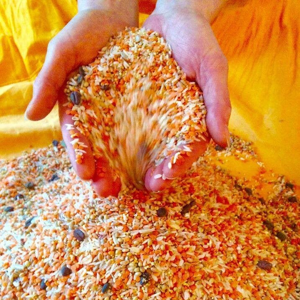 Fülle-Workshop, Prozessarbeit und Zeremonie nach Maya Sonnentradition