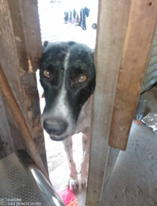 Retailer Database Online