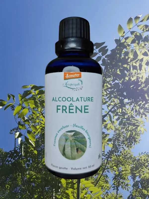 FRENE