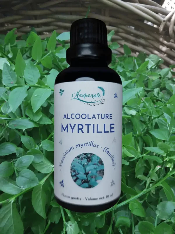 MYRTILLE