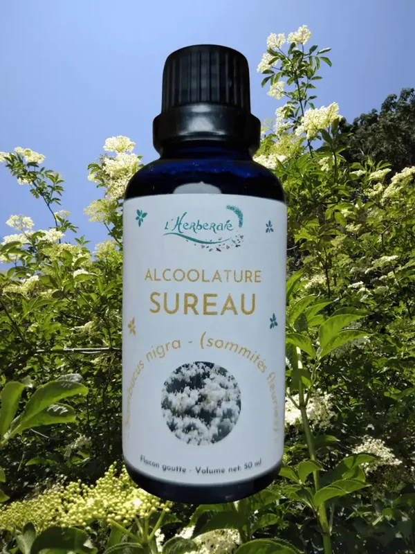 SUREAU