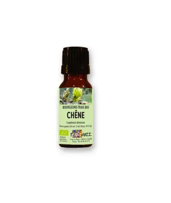 CHENE