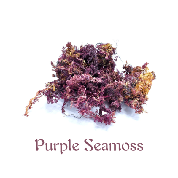 Jamaicaanse Raw Purple Seamoss Chondrus crispus