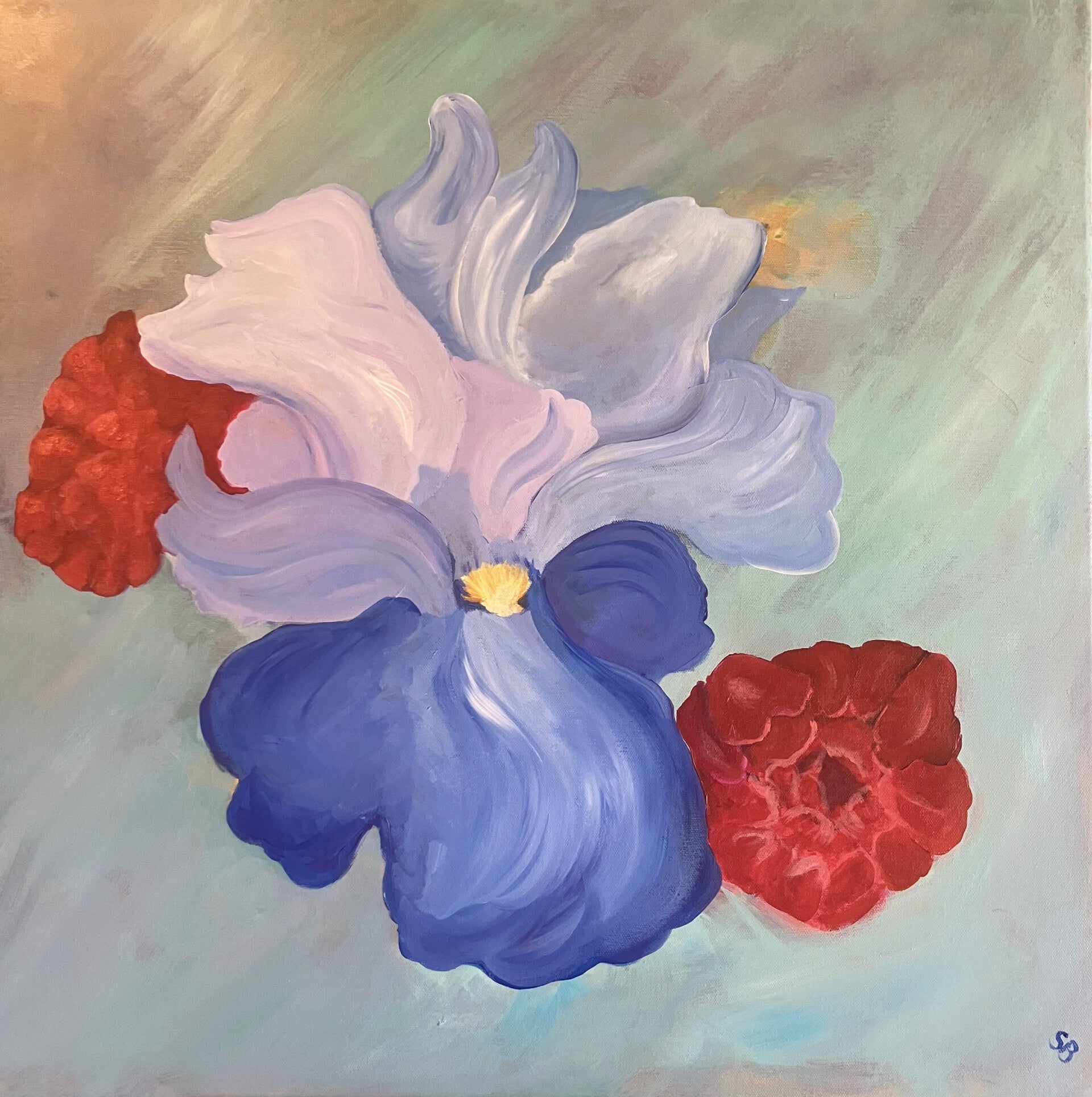 Blue Iris