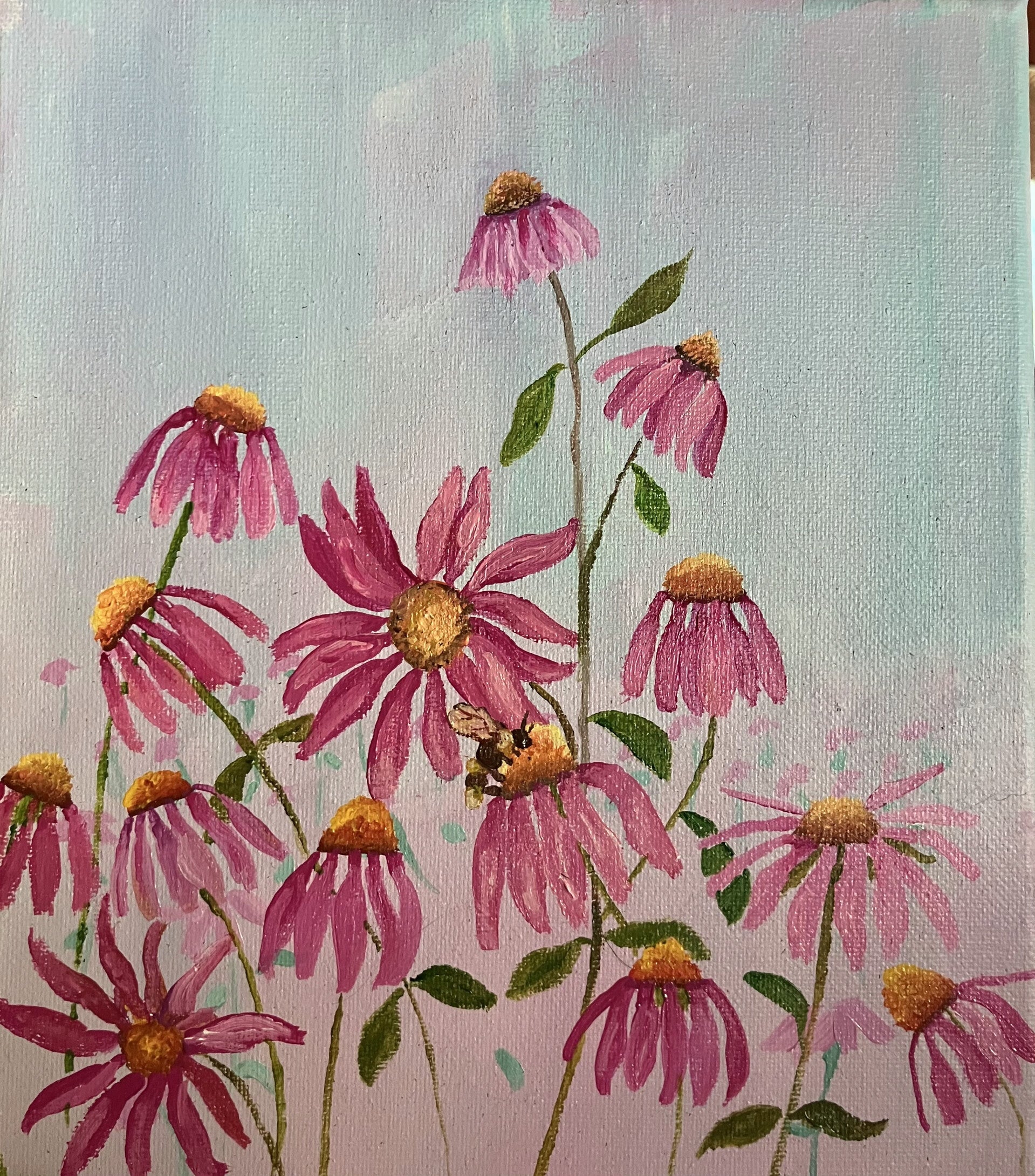 Pink Coneflowers