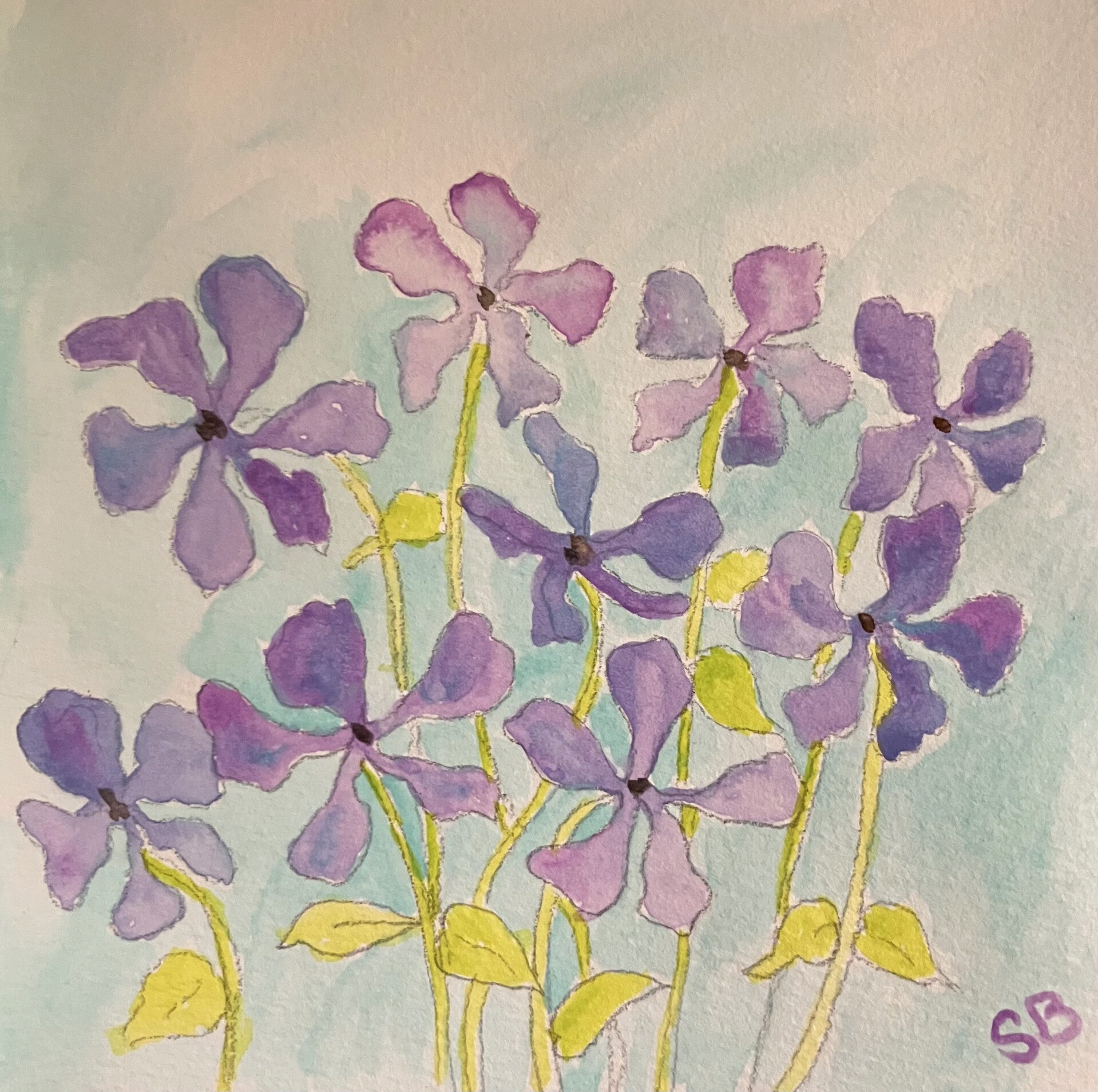 Wild Blue Phlox