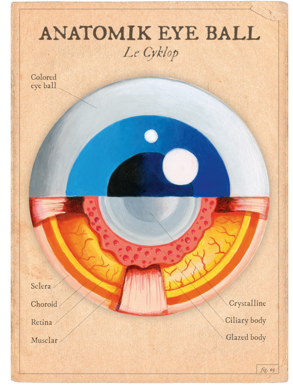 Anatomik Eye Ball 2