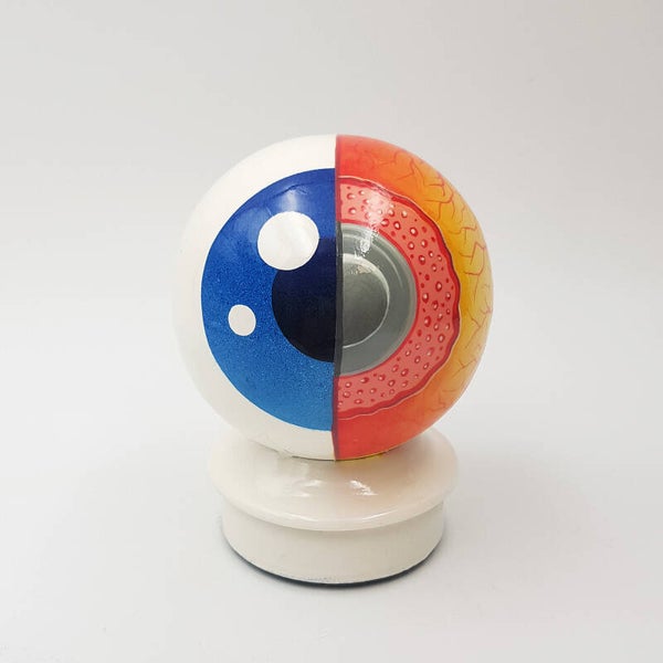 Anatomik Eye Ball