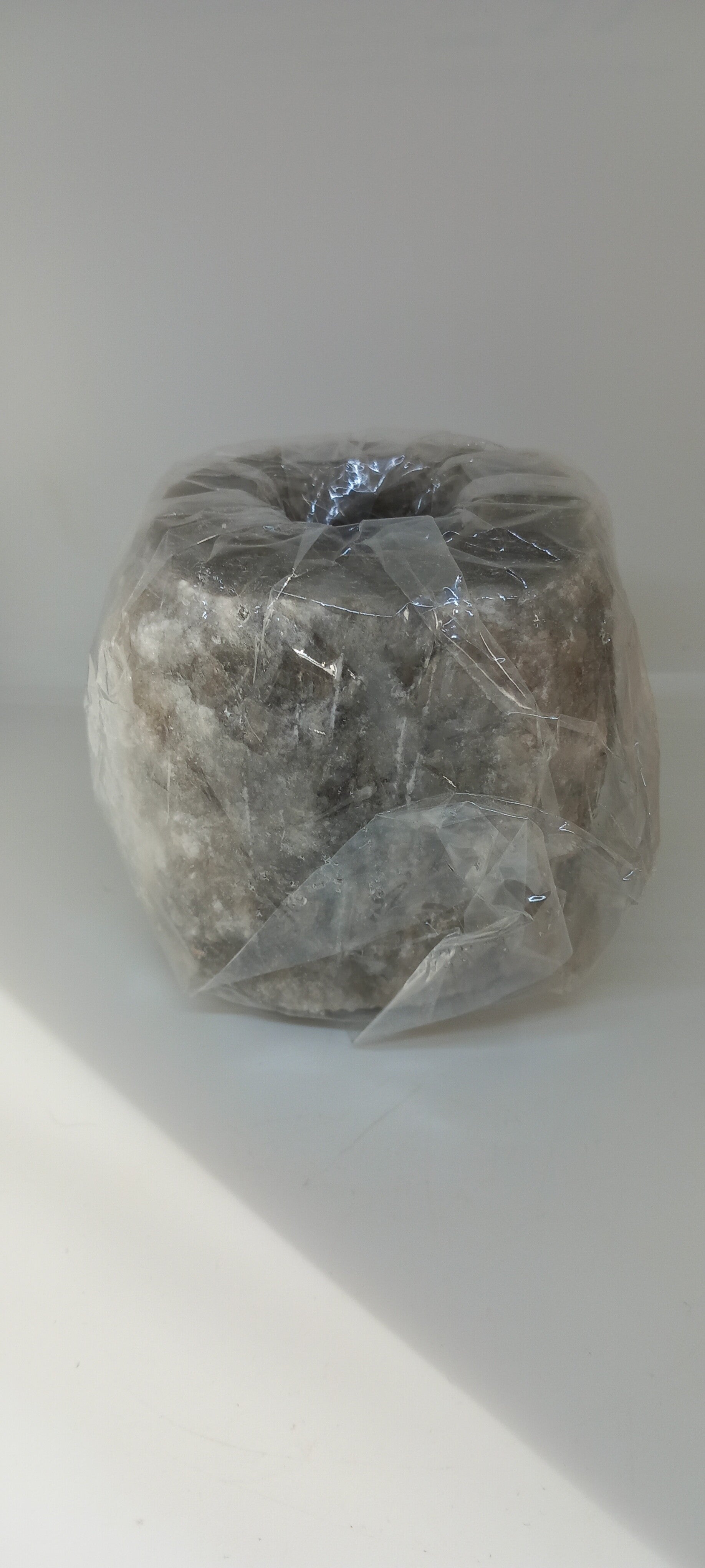 Grijze zoutwaxine