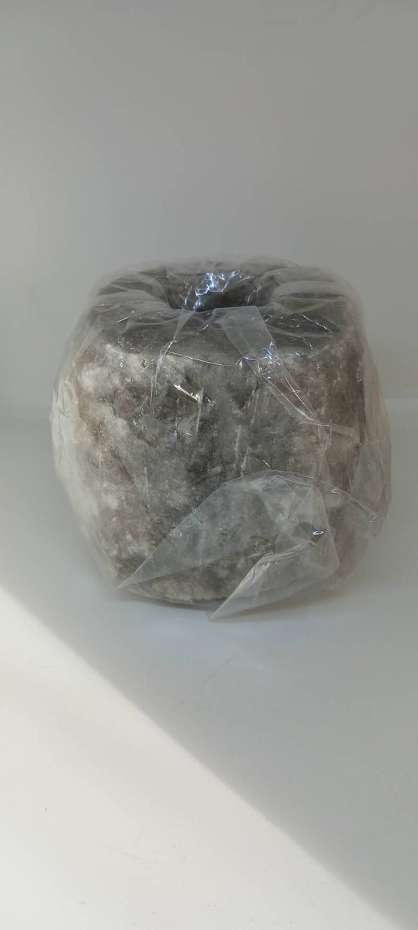 Grijze zoutwaxine