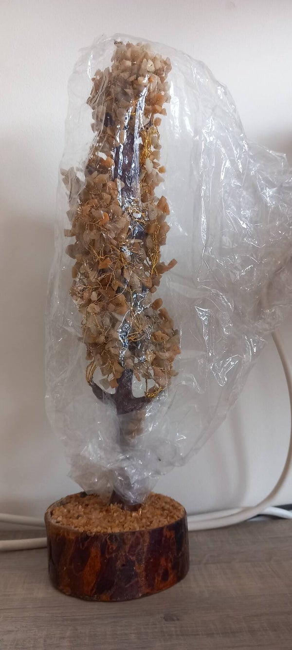 Gele Calciet boom
