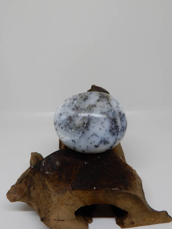 Dendriet opaal hand/zaksteen