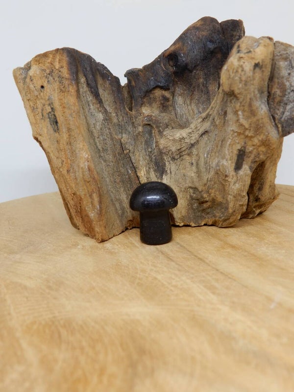 Zwarte Obsidiaan paddenstoel