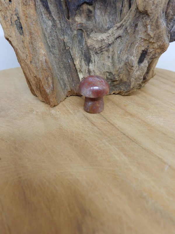 Rode Jaspis paddenstoel