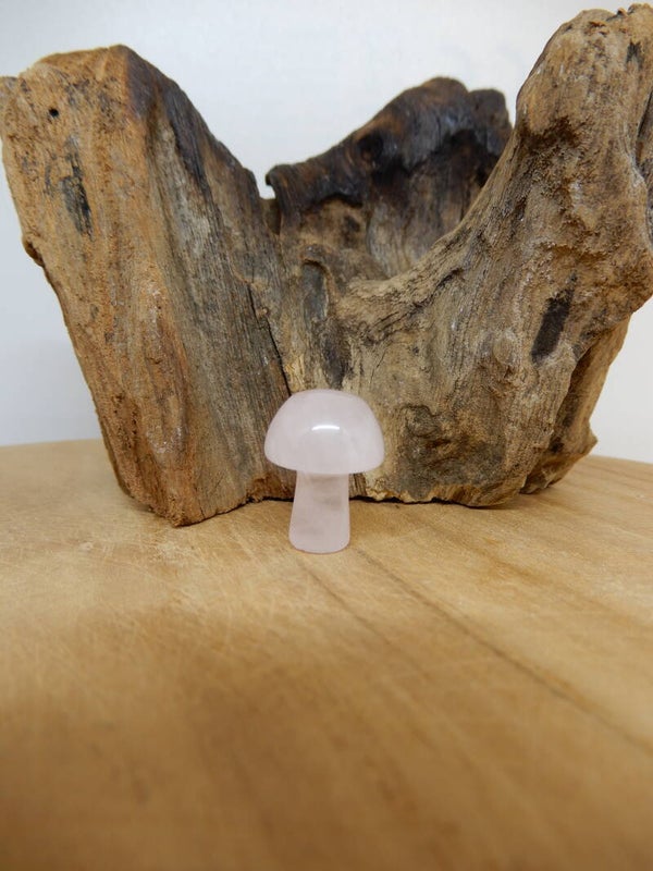 Roze Kwarts paddenstoel