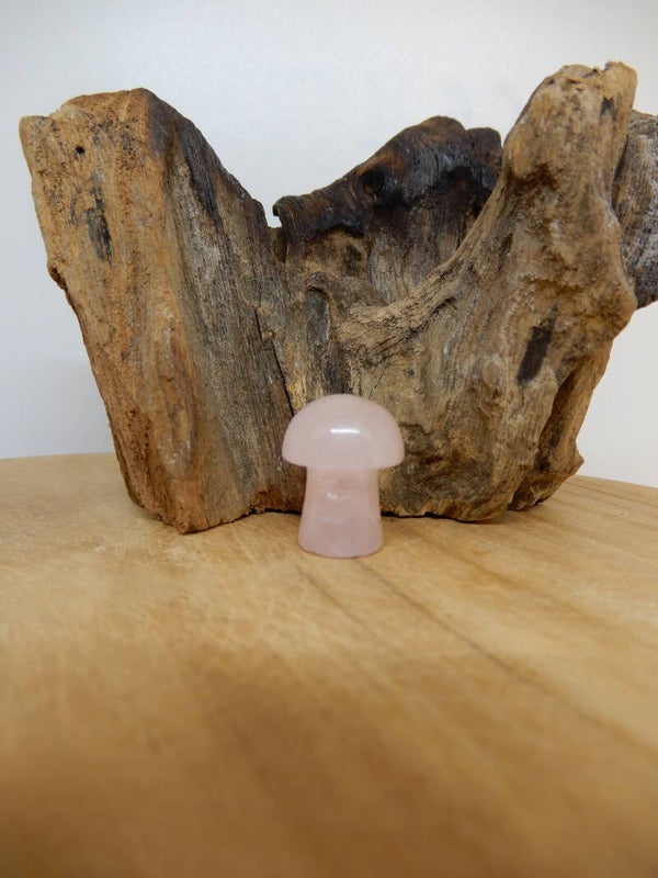 Roze Kwarts paddenstoel