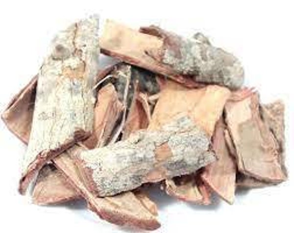ANGICO, PARICA,  PIPTADENIA COLUBRINA, écorce